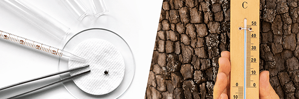 The Impact of Climate on Tick-Borne Illnesses